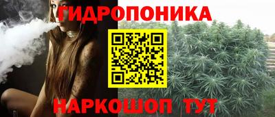 spice Краснознаменск