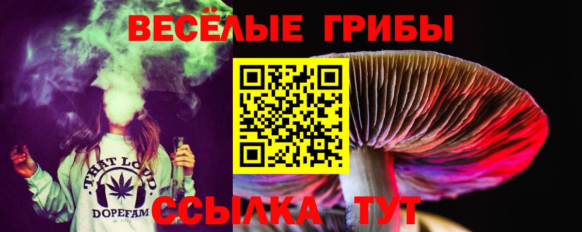 Псилоцибиновые грибы прущие грибы  Вход с VPN  Южноуральск  Псилоцибиновые грибы Psilocybine cubensis 